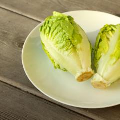 Baby - lettuce