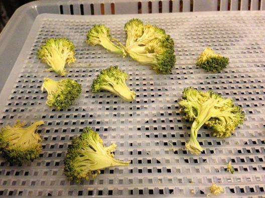 Dehydrated broccoli, rich and crunchy