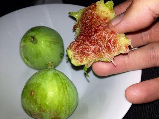 I just got this garden figs from my sister who came back from Verona. They are so sweet that my ears are flapping of joy! 