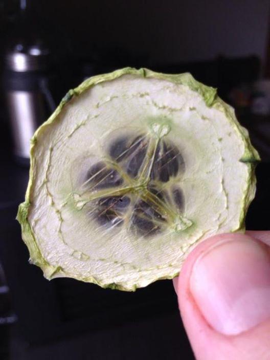 One cucumber chip ^_^