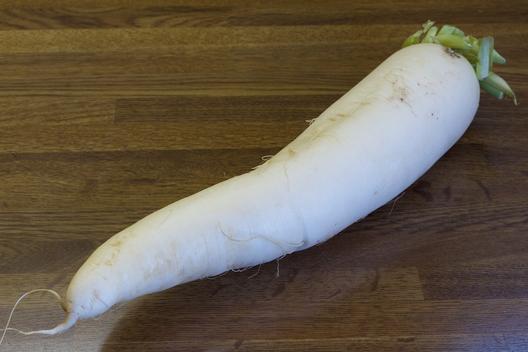 Daikon radish