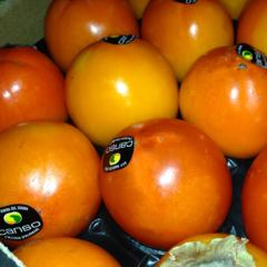 Persimmon Persimmon