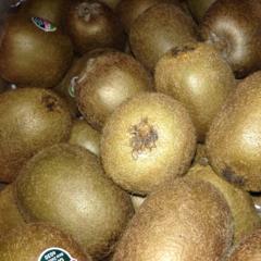 Kiwifruit Kiwifruit
