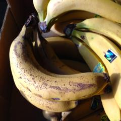 Banana Banana