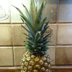 Pineapple Pineapple