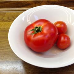 Tomato Tomato