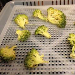 Dehydrated broccoli, rich and crunchy