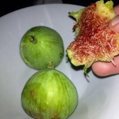 I just got this garden figs from my sister who came back from Verona. They are so sweet that my ears are flapping of joy! 