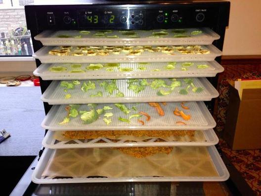 Sedona Digitally Controlled Food Dehydrator