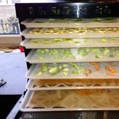 More experiments with my new Sedona dehydrator ^_^
