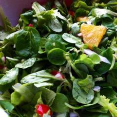 My lunch salad - corn salad and other tender greens, an orange, a tomato and some different kinds of radishes
