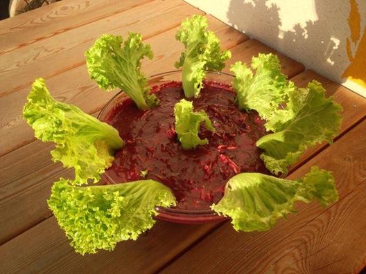 This time it's grated zucchini with a sauce of grapes, some dates and celery, garnished with lettuce. 