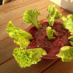 This time it's grated zucchini with a sauce of grapes, some dates and celery, garnished with lettuce. 